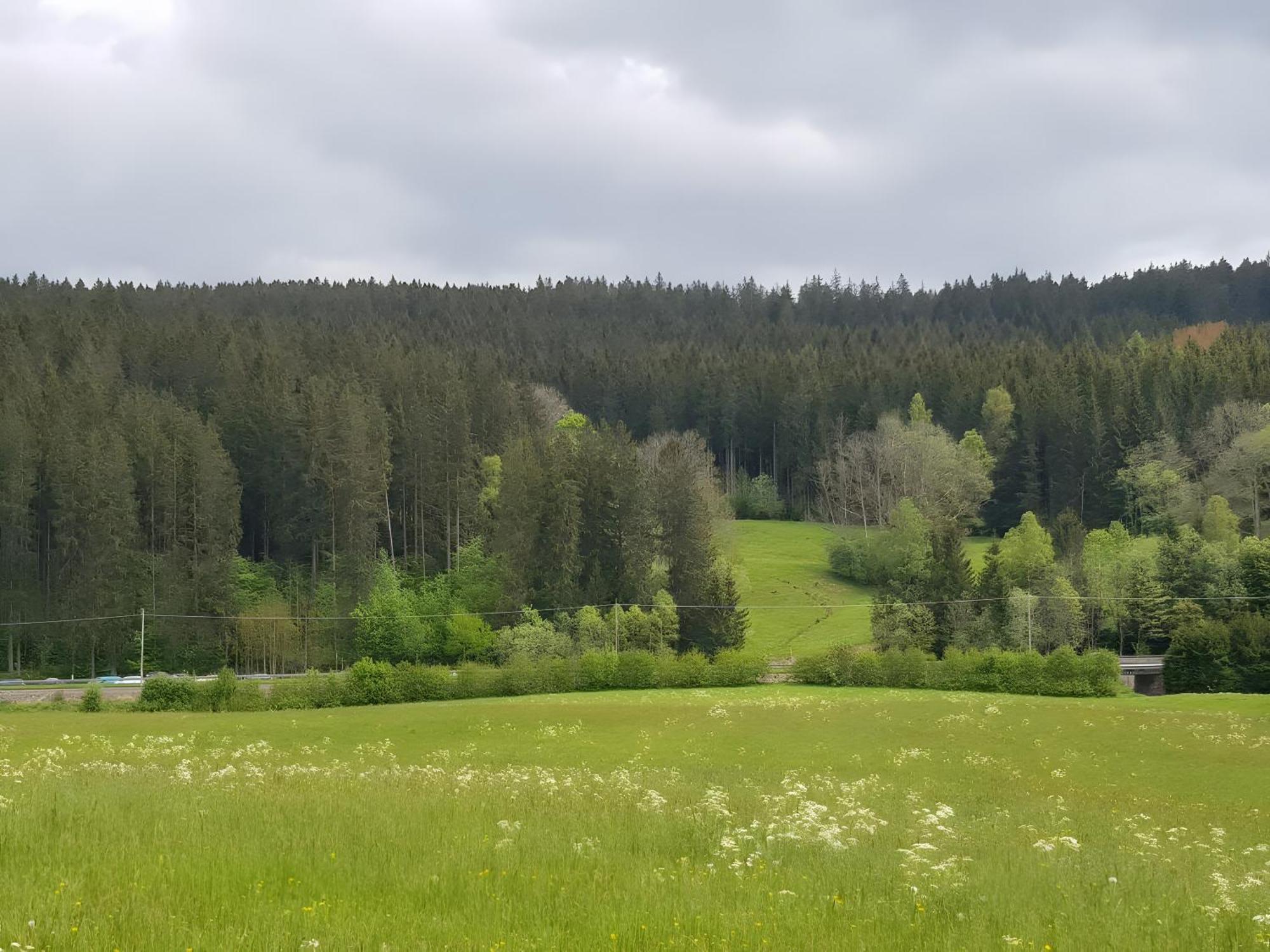 Appartamento Haus Schwedes Titisee-Neustadt Esterno foto